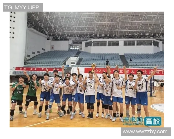 武汉排球队在排球状态排行榜中荣获第六名展现出强劲实力与潜力